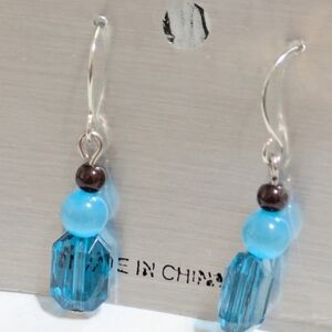 Elegant Blue and Silver Earrings